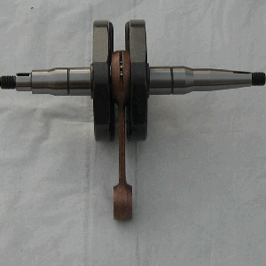 P1010007.gif (42437 Byte)