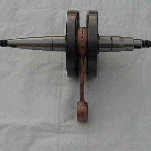 P1010008.gif (43685 Byte)